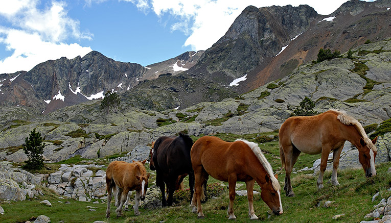 Wspi-spain-walking-7